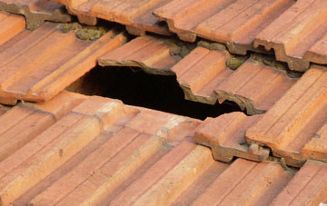 roof repair Little Load, Somerset