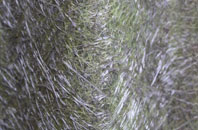 Little Load fibreglass roof work